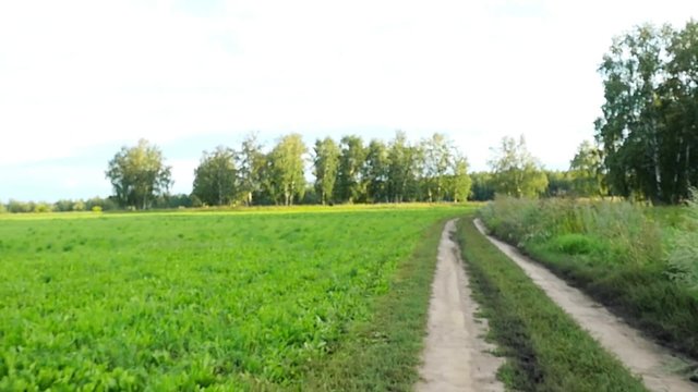 Summer landscape with country road and field of wheat in slowmotion. 1920x1080