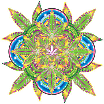 Colored marijuana leaf symbol vector illustration