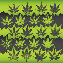 marijuana cannabis textured leaf symbol design vector illustration