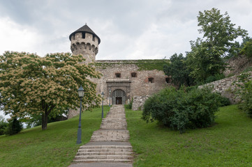 Fototapeta na wymiar Buda castle entrance and Mace tower