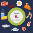 Vitamin B12 or Cobalamin infographic