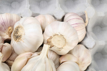 Garlic background