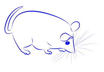 Contour of mouse