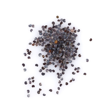 Poppy seeds isolated on white