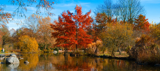 Autumn Park. Trees reflected in the water of the lake in the park