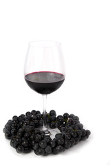 Bunch of black grapes and glass of red wine