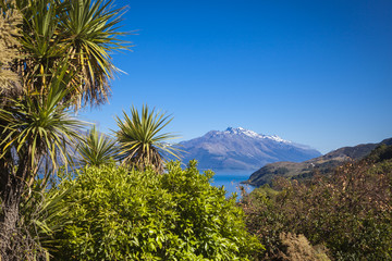 Fototapeta na wymiar Entlang des Ufers des Lake Wakatipu