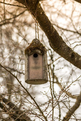Vogelhäuschen an Ast - Variante