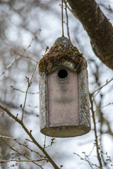 Vogelhäuschen an Ast
