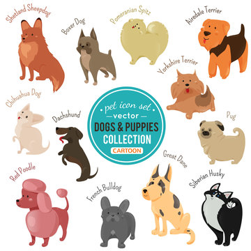 Vector dogs and puppies depicting different fur color and breeds
