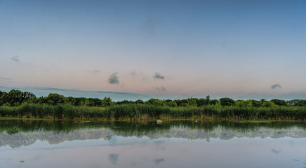 Natural reserve, Buenos Aires, Argentina