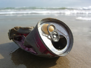 Beached can with trapped seashell on sand - landscape color photo