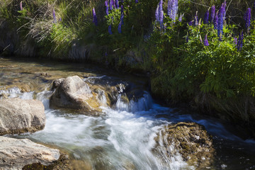 Fototapeta premium Flusslandschaft auf der Südinsel 