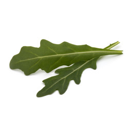 Sweet rucola salad or rocket lettuce leaves isolated on white ba
