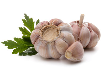 Garlic bulb and parsley herb still life isolated on white backgr
