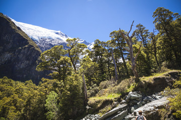 Rob Roy Glacier National Park Neuseeland