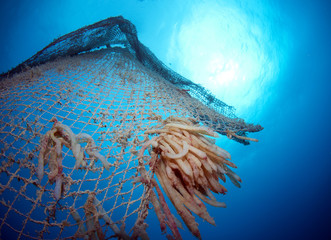old abandoned fishing net