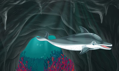 Dolphin swimming under the ocean © GraphicsRF