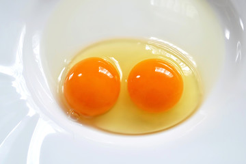 Raw two-yolk egg on the plate