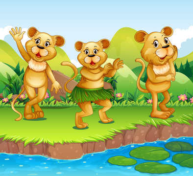 Lions dancing by the river