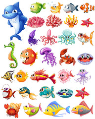 Different types of sea animals © GraphicsRF