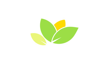 simple leaf logo 