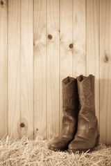 Western style cowboy / cowgirl boots on hay with timber background
