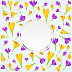 Spring Background. Vector Illustration fresh Crocus flowers in blossom