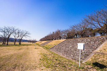 多摩川河川敷