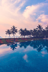 Silhouette palm tree on the swimming pool