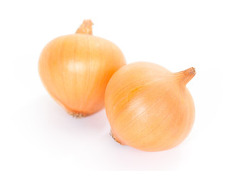 Small gold onion isolated on white background