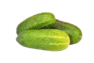 Green cucumber gherkin