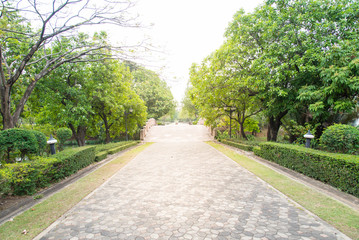 Beautiful walkway