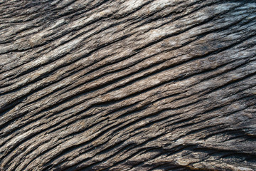 Old wood texture