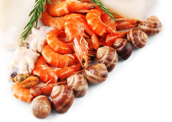 Seafood isolated on white