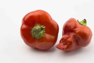 Two red chili peppers isolated on white