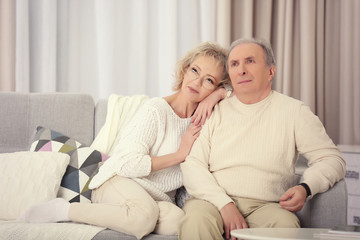 Happy mature couple sitting on a sofa together at home