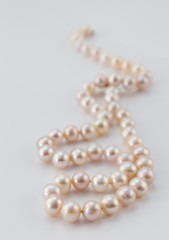 Pearl necklace on white background