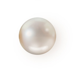 Single pearl isolated on white background