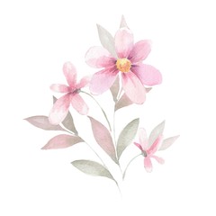 Obraz na płótnie Canvas Delicate floral set. Bouquet of flowers 1