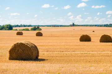 stacks of straw in a yellow harvested field