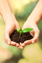Male hands holding plant and soil on natural background