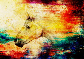 Draw pencil horse on old paper, vintage paper and old structure with color spots. © jozefklopacka