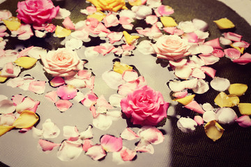 Pink and yellow rose petals in glass bowl with water, close up