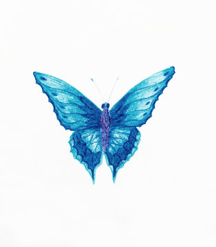  illustration of a  blue butterfly, white background.