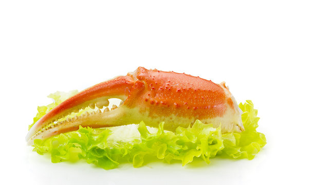 Boiled crab claws on a lettuce isolated on white background