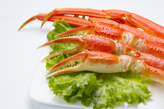 Boiled crab claws with lettuce on a plate ovwe white background