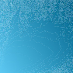 Topographic Map Concept