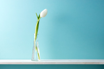 青い背景と棚と花瓶と白いチューリップ