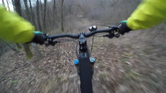 4K POV Mountain biker in autumn forest